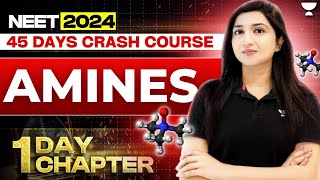 1Day 1 Chapter Amines  45 Days Crash Course  NEET 2024  Akansha Karnwal [upl. by Elburr]