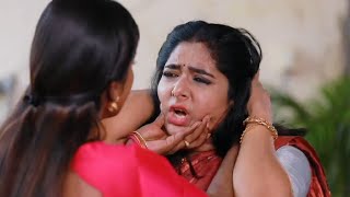 Panivizhum Malar Vanam  Today Episode Promo  02nd October 2024 [upl. by Arden]