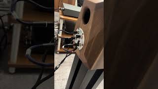 Diapason audiophile loudspeaker hifi hifiaudio highend [upl. by Stronski755]