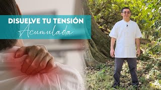 RELAJATE COMPLETAMENTE con este Secreto Chino para Disolver TENSIONES  Fang Song😀 [upl. by Wie]