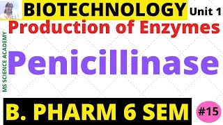 PenicillinaseProduction of EnzymesBiotechnologyUnit 1 B Pharmacy 6 SemLect15 [upl. by Medeah346]