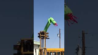 Wacky Waving Inflatable Arm Flailing Tube Man 10 ft Catus Tube Man on fork lift [upl. by Kassie956]