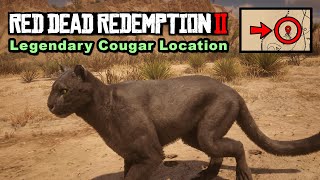 Legendary Cougar location  Red Dead Redemption 2 [upl. by Yrmac]