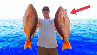 Snapper Fishing 30 MILES Offshore How To Techniques [upl. by Azarria]