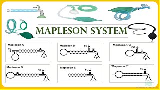 Mapleson Breathing system  Anesthesia Breathing system [upl. by Cerellia740]