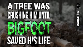 Bigfoot Saves a Hikers Life Marathon 109 [upl. by Yusuk]