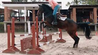 CUADRA A Saltando la Línea oxer y vertical rumbo a Rancho Salazar CONTADO NACIENTE [upl. by Kcod]