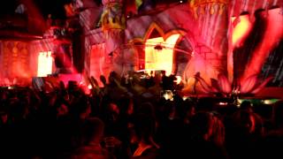 Tom Van Dyck  Tomorrowland 2011 [upl. by Baerman]