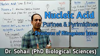 Nucleic Acid  Purine amp Pyrimidines  Nucleotide amp Nucleoside  Differences between DNA amp RNA [upl. by Acinimod772]