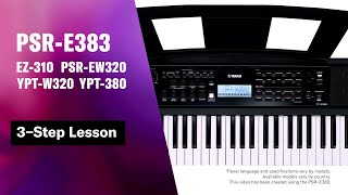 Yamaha Portable Keyboard PSRE383  YPT380 Tutorial Video 4  3−Step Lesson [upl. by Duwad894]