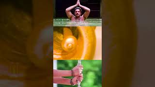 🔥🔥 നരസിംഹ മന്നാഡിയാരുടെ മരണ മാസ്സ് ഇൻട്രോ🔥🔥  Dhruvam Movie  Mammootty Intro Scene  Jayaram [upl. by Helbonia]