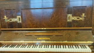 Bechstein Model 1 Walnut Walkaround [upl. by Velleman268]