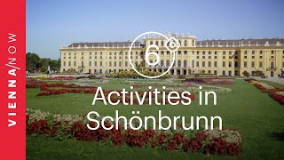 6 fun activities in and around Schönbrunn Palace [upl. by Gnuhn984]