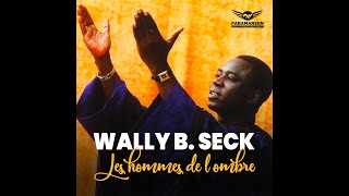 Wally B Seck  Les hommes de lombre [upl. by Euqina668]