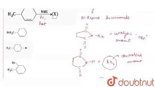 The major product X of the monobromination reaction is  CLASS 12  NTA JEE MOCK TEST 69  CH [upl. by Whitney]