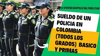 SUELDO DE UN POLICIA EN COLOMBIA Todos los grados [upl. by Ifar]