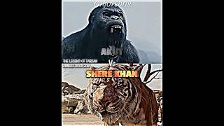 Shere Khan vs Akut thelegendoftarzan junglebook2016 vsbattle vsedit wis whoisstrongest akut [upl. by Londoner]