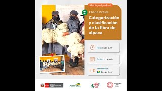 Categorización y clasificación de la fibra de alpaca 31072024 [upl. by Jumbala]