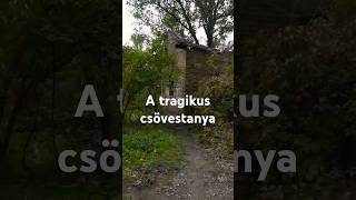 A tragikus csövestanya [upl. by Ragde]