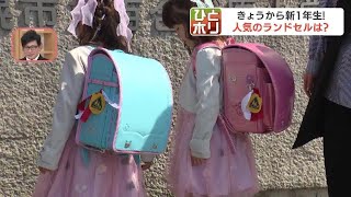 ７万円前後が主流 人気の色トップ３＝男の子は黒・紺・青、女の子は紫・桃色・水色 来年春の新入生向けのランドセル選びも本格化 [upl. by Gothurd]