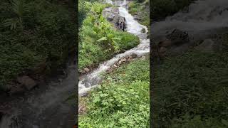 Monsoon Magic 🌈 Witness Stunning Waterfalls in Munnar nature waterfall keralatourism munnar [upl. by Anahsohs]