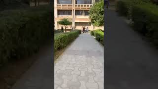 Dyal singh college du delhiuniversity [upl. by Yrotciv349]