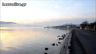 Geras bay Lesvos Island  Κόλπος Γέρας Λέσβου [upl. by Iclek]