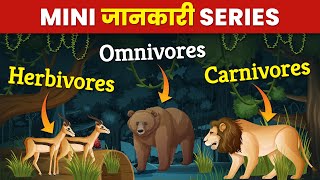 Herbivores Carnivores and Omnivores for Kids  Eating Habits of Animals  202425 [upl. by Puett]