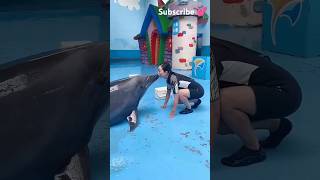 Dolphin lover 💝 💞🤗ll 💙 WhatsApp status video 📸 youtubeshorts shorts short shortvideo [upl. by Whitcher467]