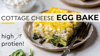 HEALTHY EGG BAKE  spinach mushrooms amp cottage cheese recipe [upl. by Ger107]