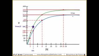 Cómo hacer una gráfica de MichaelisMenten  Enzimas parte XVI [upl. by Eaton379]