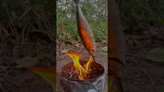 Single mom show SMART idea for survival in forest camping outdoor bushcraft lifehacks [upl. by Brunhilda]