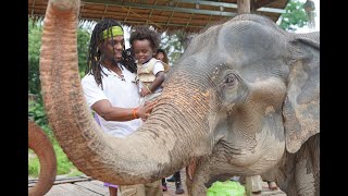 50 Elephant Resort Chiang Mai Thailand A great family trip [upl. by Livia686]