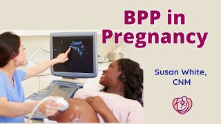 Biophysical Profile BPP in Pregnancy [upl. by Khalin]