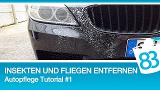 83metoo  Insekten und Fliegen entfernen vom Autolack  Autopflege Tutorial 1 [upl. by Rumit]