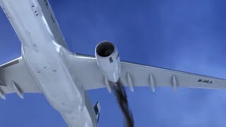 Cathay pacific flight 780 landing animation [upl. by Eerised]