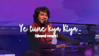 Ye tune kya Kiya slowedreverb [upl. by Robena]