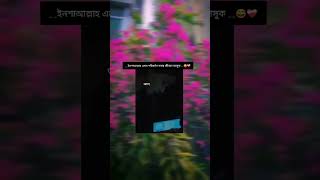 ইনশাআল্লাহ liyrics plyrics songlyrics viralvideo foryou [upl. by Nonarb550]