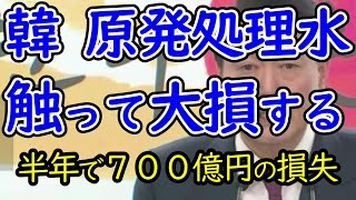 韓 半年で700億円も使って福島の安全な処理水を世界に発信してくれる。 [upl. by Gretal248]