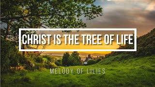 Details About The Tree Of Life Many Dont Know [upl. by Irihs]