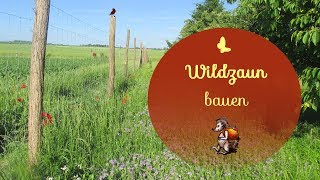 Wildzaun bauen  Wir bauen einen Wildzaun  Gartenzaun [upl. by Llenroc]