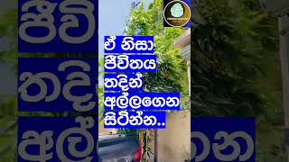 ජීවිතයට ඔවදනක්Vishwashakthi [upl. by Ayhtak226]