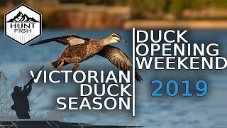 Hunting Ducks in Australia  Victorian Duck Season Opening [upl. by Aeret893]