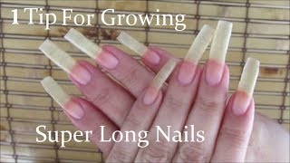 1 Tip For Growing Super Long Nails [upl. by Atteuqcaj453]