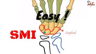 Skeletal maturity indicators  Handwrist Anatomy [upl. by Ahsial]