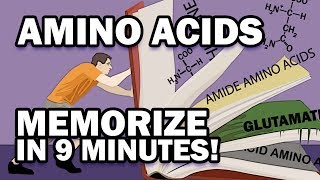 Memorize the 20 Amino Acids in 9 Minutes [upl. by Ashbey]