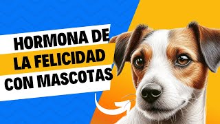 Hormonas de la FELICIDAD Endorfinas y Serotonina con MASCOTAS [upl. by Narayan147]