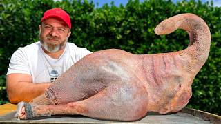 Cooking A Whole Huge Ostrich in Oven The Incredible Dish Everyone on the Internet Is Talking About [upl. by Felise]