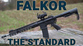 Gun Review Falkor Defense The Standard Rifle [upl. by Apthorp]