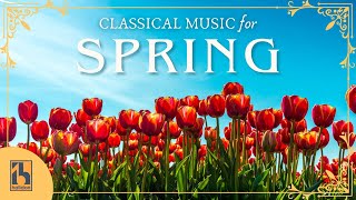 Classical Music for Spring [upl. by Lemrahs]